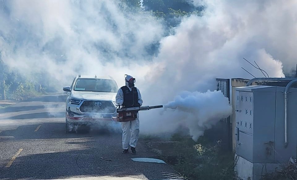  Salud Publica se mantiene vigilante ante aumento de casos de dengue; continuan los operativos de fumigacion