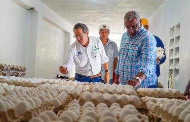 Inespre comienza compra de pollos y huevos a productores de Dajabón tras cierre de la frontera