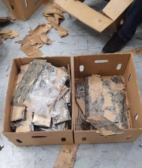 Ocupan 97 láminas cocaína camufladas en cajas de bananos