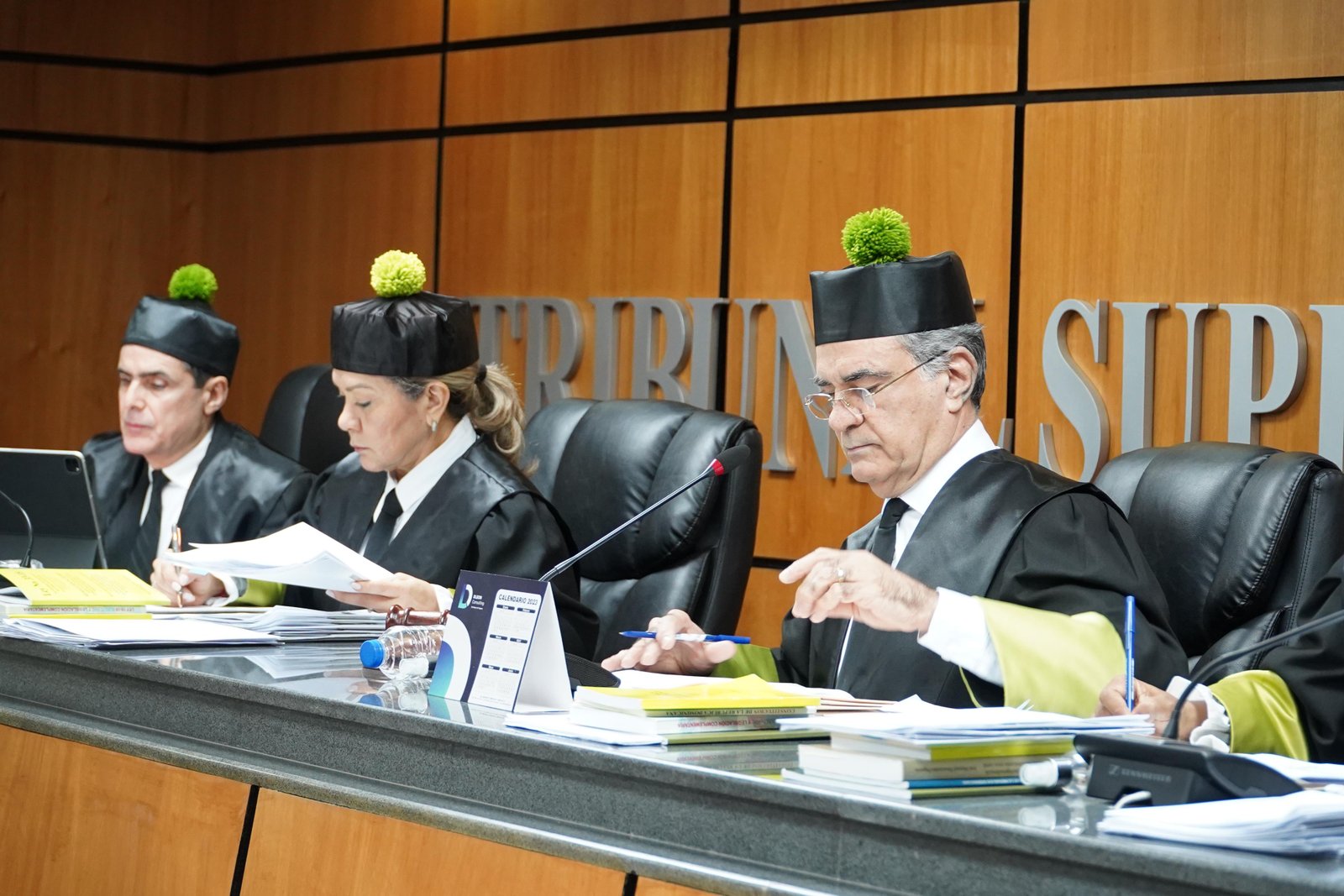 TRIBUNAL SUPERIOR ELECTORAL CONOCE 15 AUDIENCIAS ESTE LUNES   