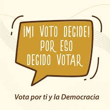 Votar, respetar y aceptar…! A Ley de 14 días para las votaciones 