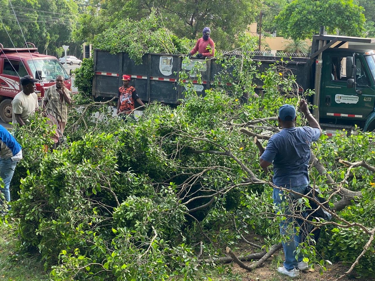 La Alcaldía de Santo Domingo Este Intensifica Operativo de Limpieza, Iluminación y Poda de Árboles ante temporada ciclónica 2024 