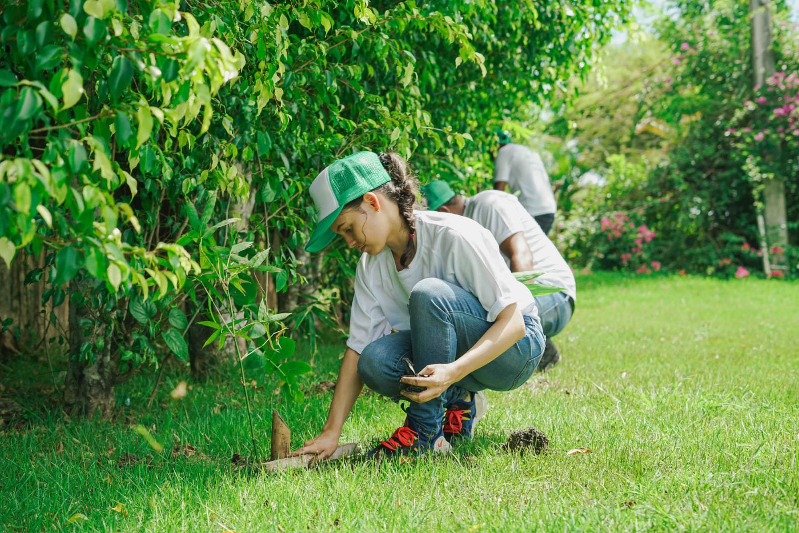 Parque del Prado, Alfridomsa e IBT Group realizan jornada de reforestación en el Día del Medio Ambiente