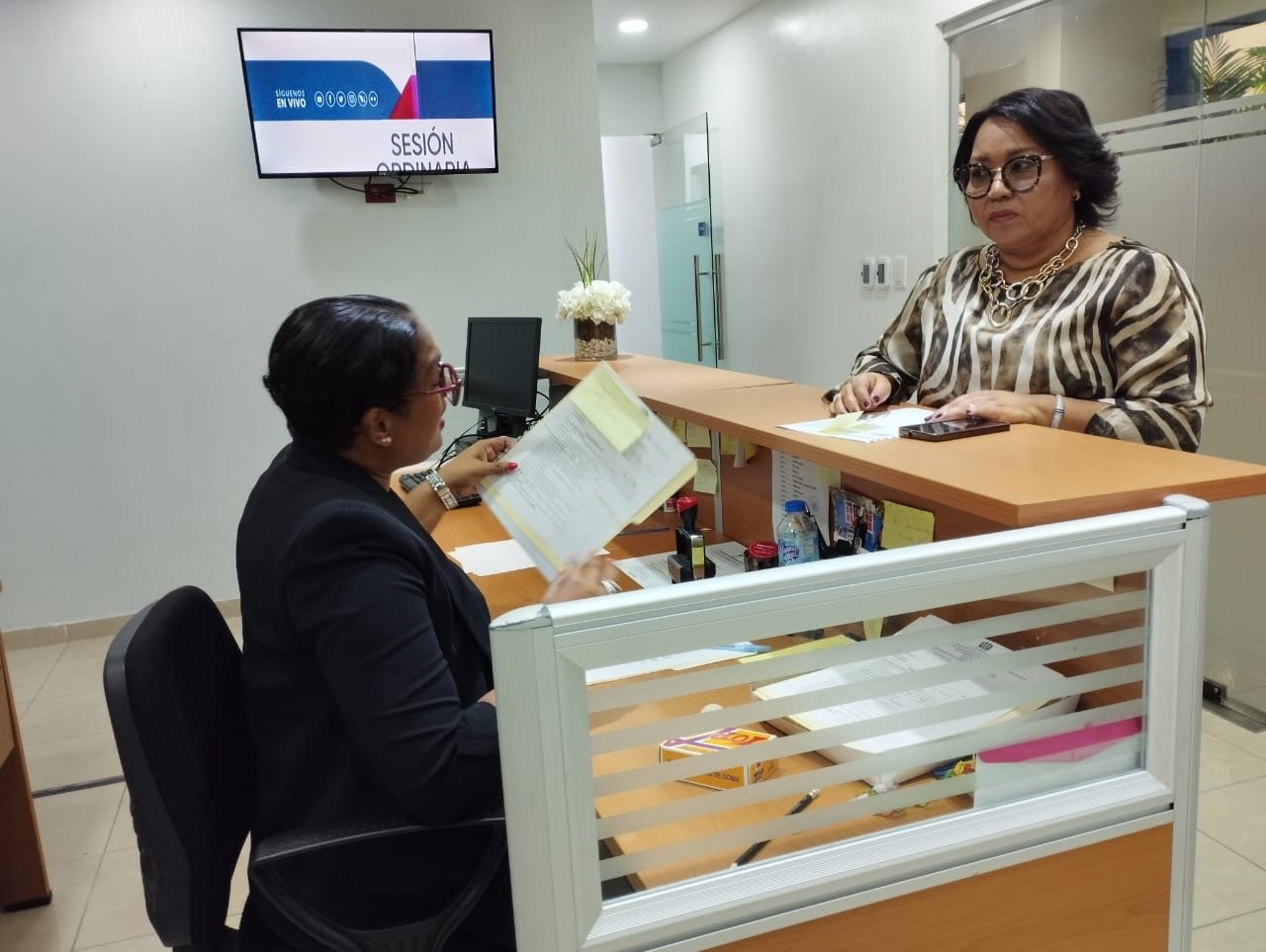 La experta político electoral, Nurys Paulino presenta candidatura a miembro del pleno de la JCE