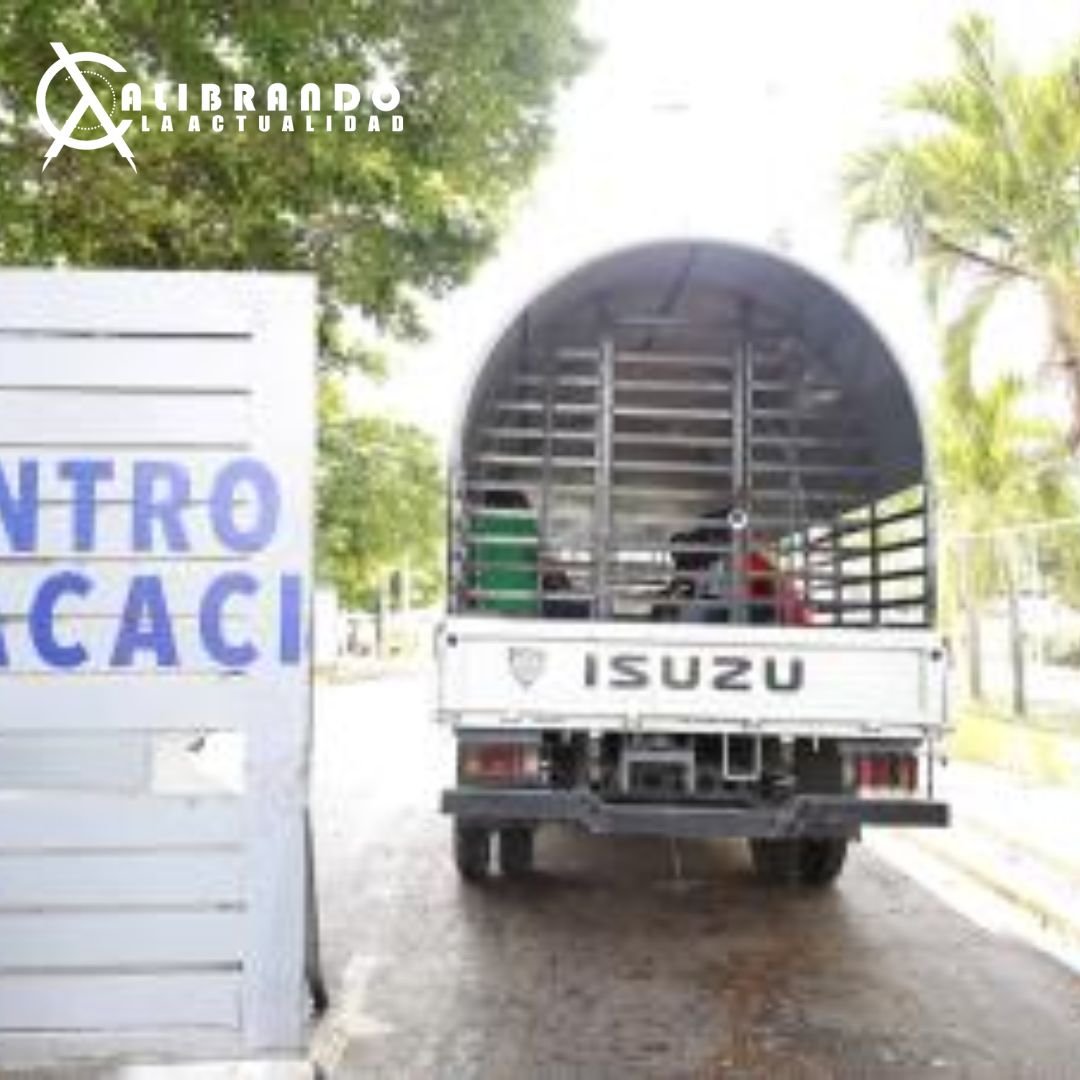 Migración reporta 27,000 haitianos deportados en lo que va de octubre