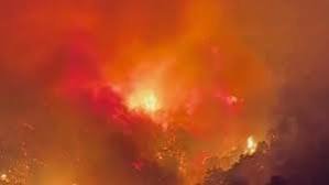Mueren 10 recién nacidos al incendiarse hospital del norte de India