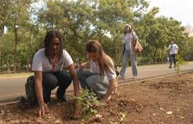 Medio Ambiente y la Alcaldía del DN realizan jornada "Ecohéroes" para arborizar el Mirador Sur