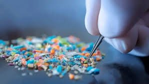 Los microplásticos se pueden acumular más en el cerebro que en el riñón o el hígado