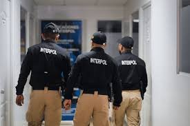 Interpol arresta a 365 personas implicadas en el tráfico de animales y plantas protegidos