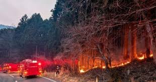 Japón enfrenta su peor incendio forestal en medio siglo