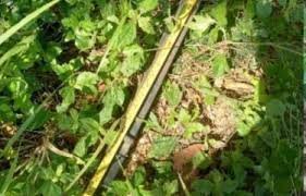 Haitiano es buscado por el asesinato de su madrastra en El Seibo