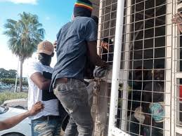 Migración reporta muerte de haitiano al tratar de huir de agentes