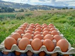 El precio de los huevos sube a máximos históricos en Estados Unidos