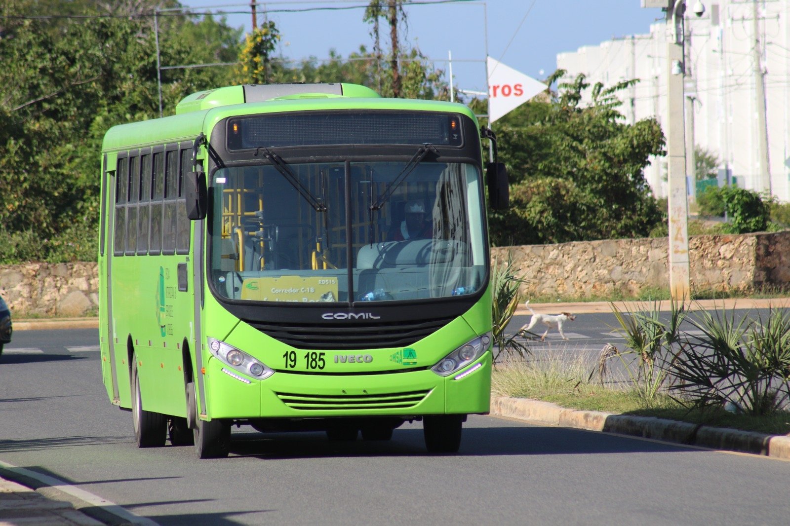 OMSA anuncia cambios en sus horarios por Semana Santa 2025; Radhamés González llama a la prudencia