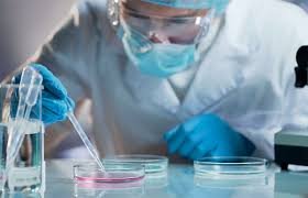 Identifican nuevas dianas genéticas para tratar el alzhéimer