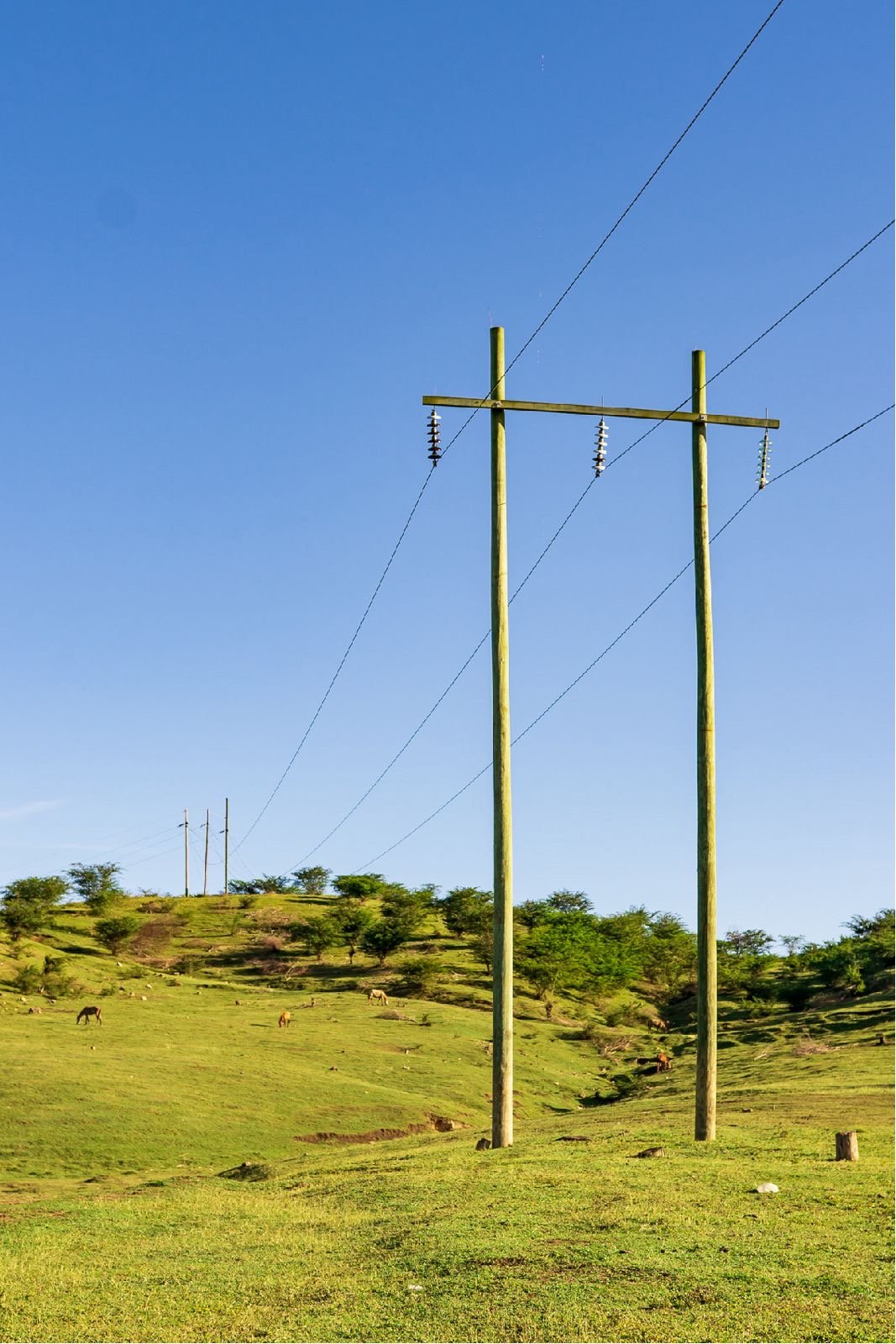 ETED dará mantenimiento en la línea 69 kV Pimentel - San Francisco de Macorís, este jueves