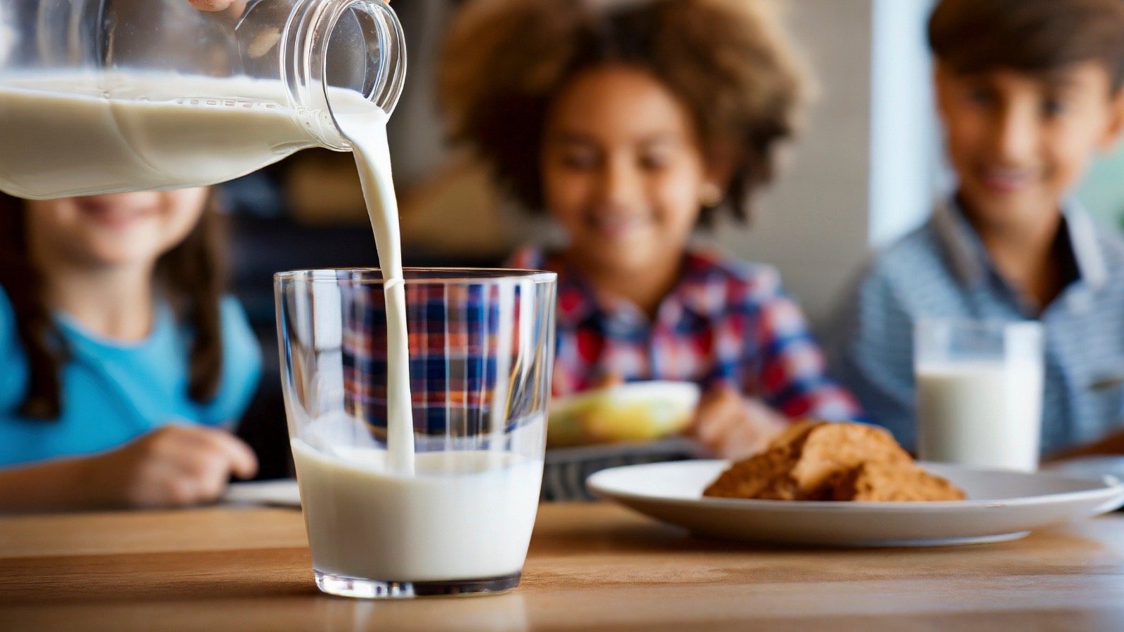 La leche y los lácteos: aliados clave para la salud y la nutrición 