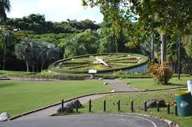 Academia de Ciencias se opone a proyecto que impactaría el Jardín Botánico Nacional