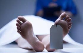 Muere hombre tras chocar con una vaca en la carretera Yerba Buena–Hato Mayor