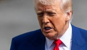 Imágenes falsas de Trump y Epstein acumulan millones de visualizaciones