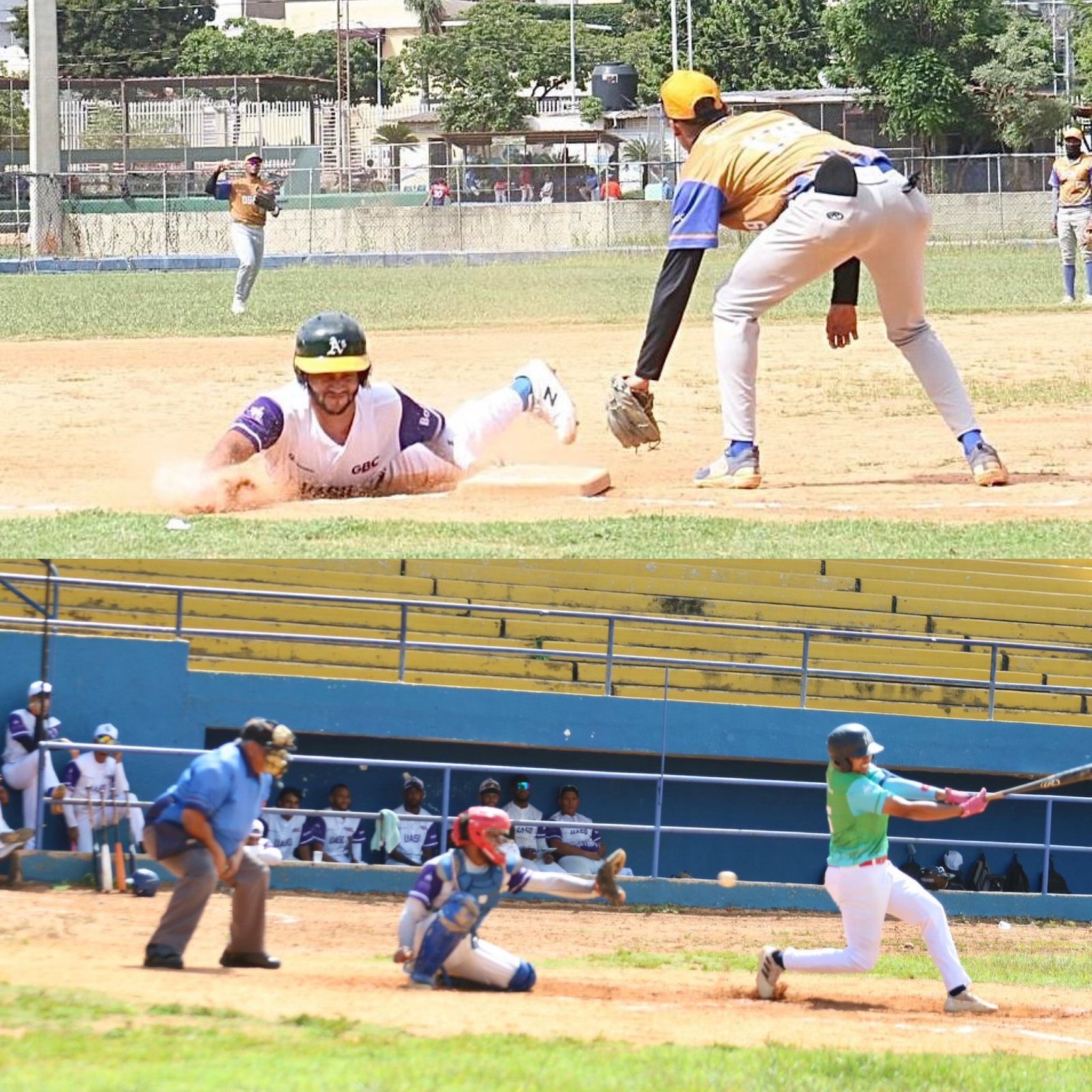 La Pucmm domina jornada torneo de Béisbol Universitario