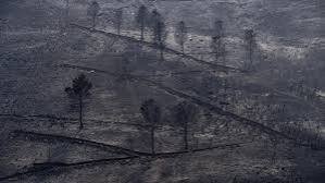 El viento complica la lucha contra los incendios en España