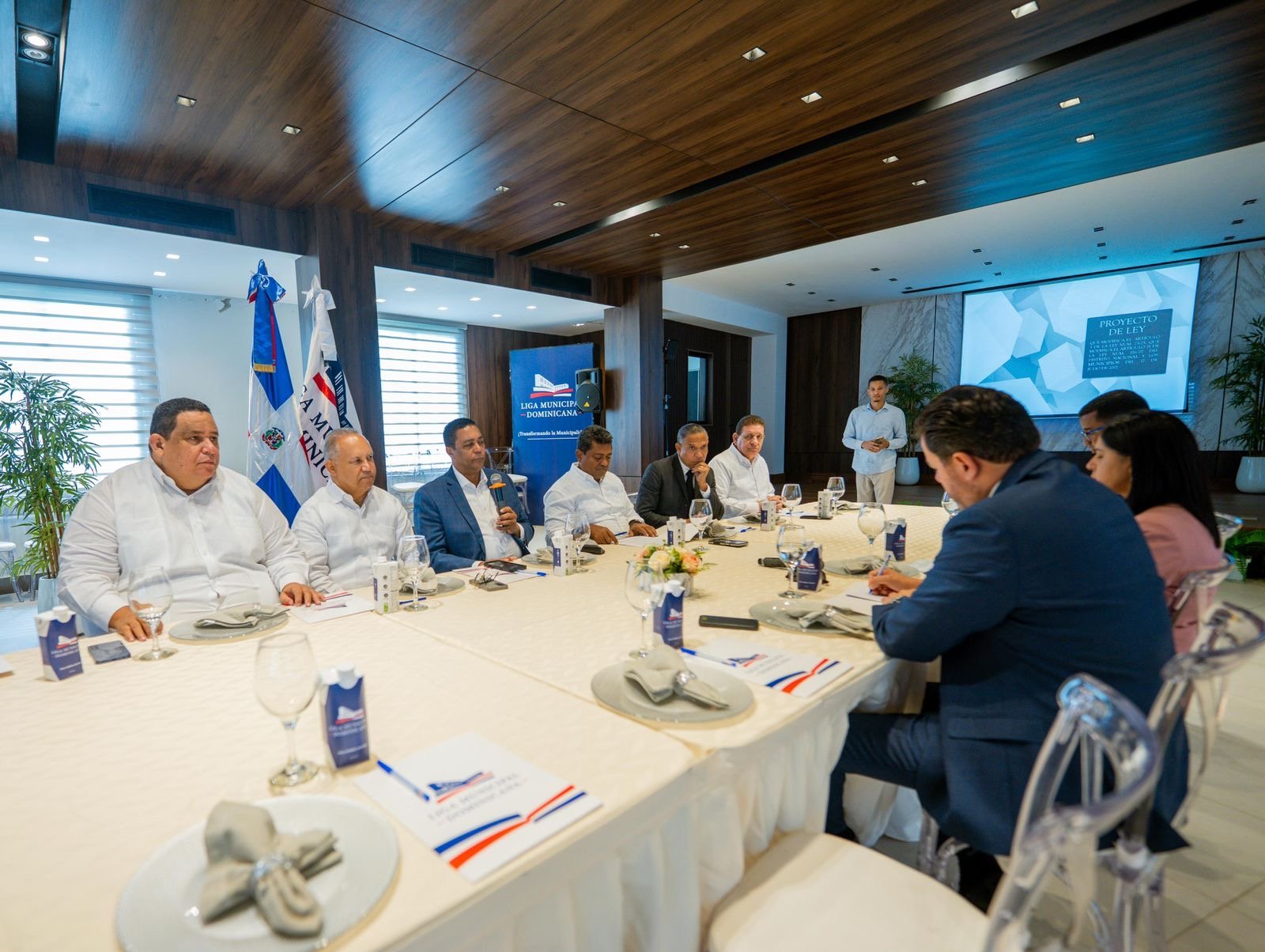 Liga Municipal Dominicana realiza sesión de trabajo para adecuar Ley Municipal