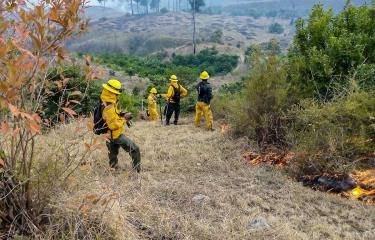 Temporada de incendios forestales concluye con más siniestros causados por descargas eléctricas