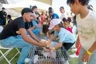 Sanut trae de regreso "A la granja, sin salir de la ciudad" en su segunda edición
