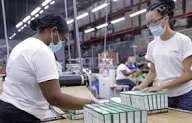 El sector industrial dominicano finaliza el 2025 con un desempeño negativo