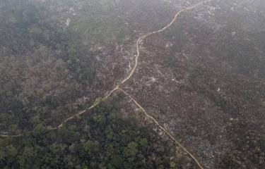La deforestación en la Amazonía brasileña cae un 35 % en los últimos seis meses