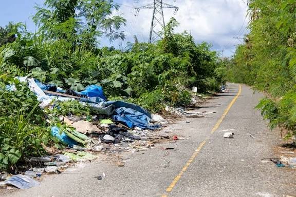 Lanzan basura en terrenos privados en las orillas de la Autovía del Este