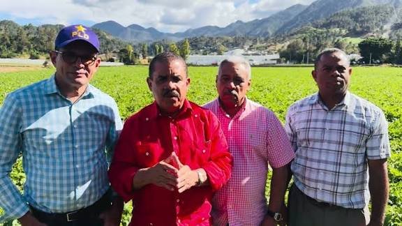 El PLD reclama al Gobierno saldar deudas con productores de ajo