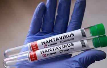 Suben a once los casos de hantavirus, pero la OMS descarta riesgo elevado