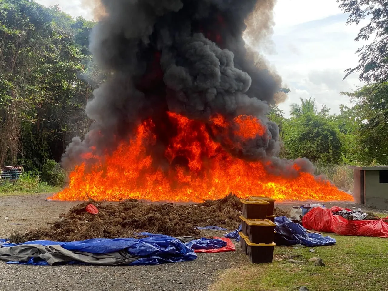 El Inacif destruye más de 33 toneladas de drogas en primer semestre del año