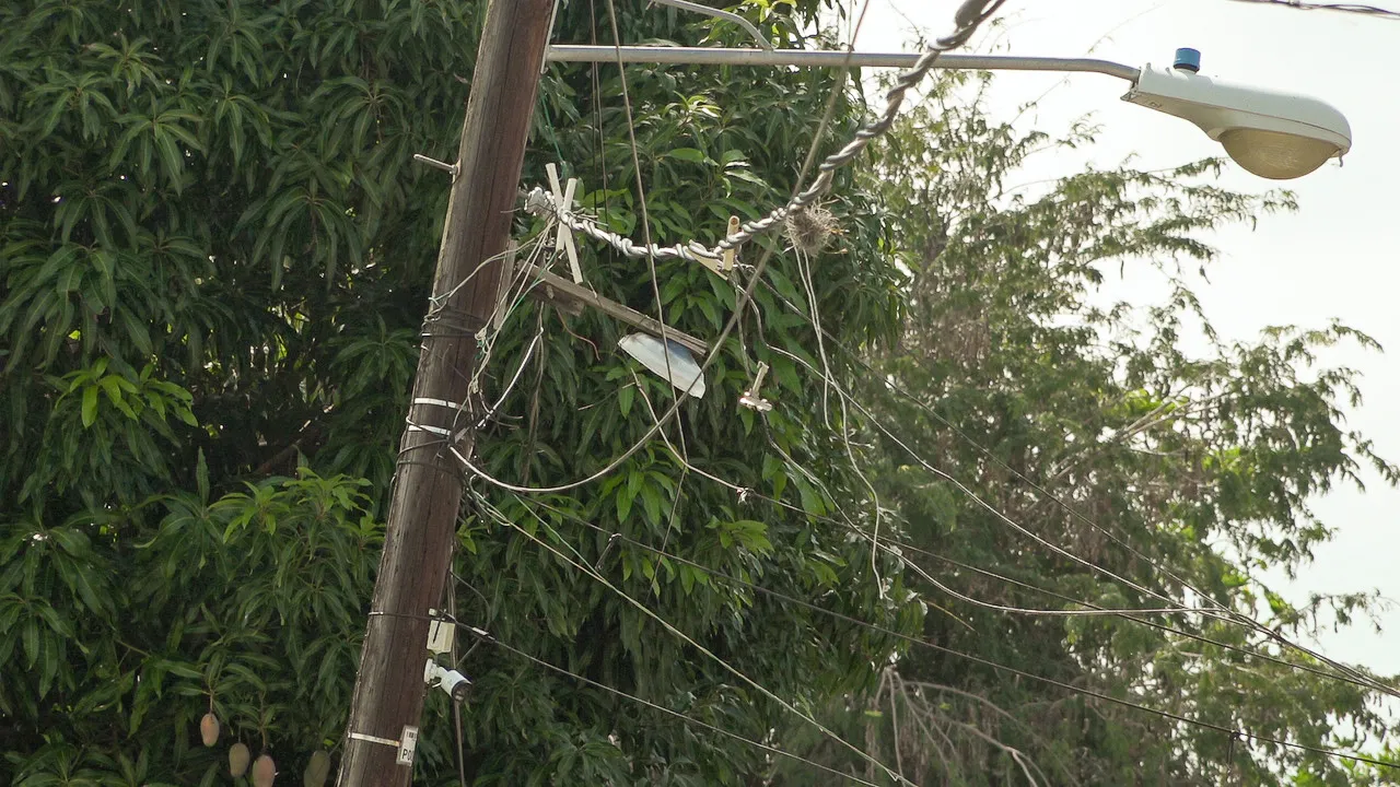 Edesur rehabilitará redes de distribución en Peravia con una inversión superior a los RD$962 millones