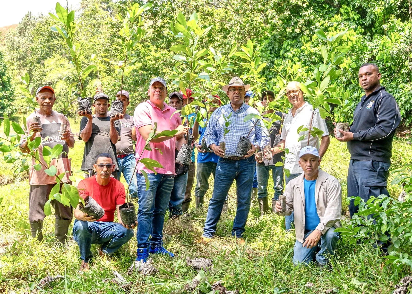 Ejecutivos de Cacao Green realizan jornada de reforestación antes de iniciar el desarrollo del proyecto 