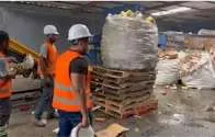 Pro Consumidor destruye 20 toneladas de alimentos adulterados y vencidos incautados en operativo