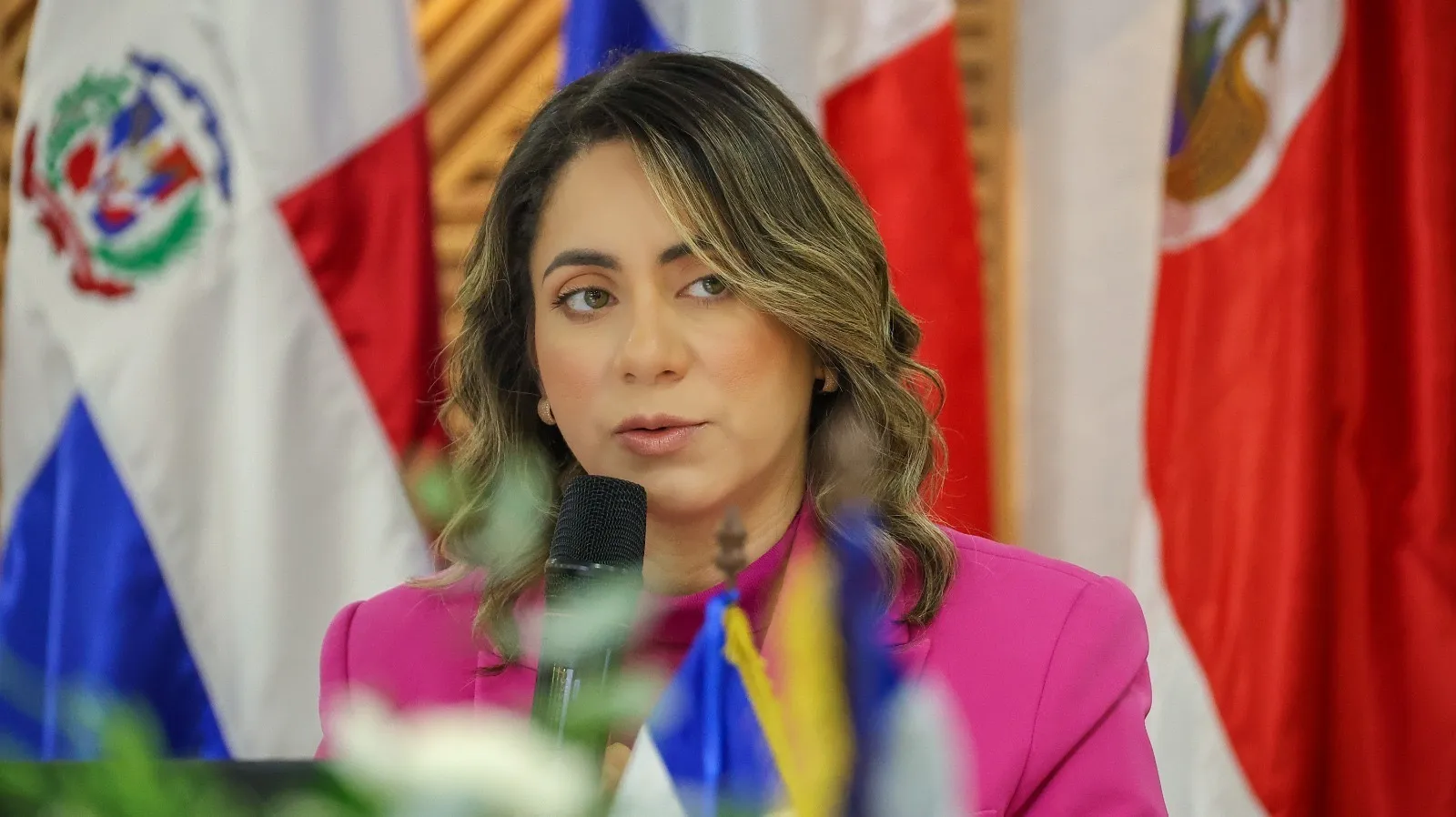 RD consolida su liderazgo regional tras ser ratificada en la presidencia pro tempore del Consejo de Ministras de Centroamérica y República Dominicana