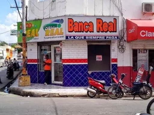 Proyecto de ley dispone 10 años sin bancas nuevas y cárcel para riferos que operen ilegalmente
