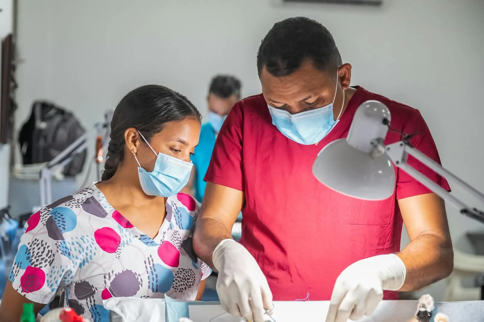 Carolina continúa impulsando jornadas de bienestar animal; durante operativo se esterilizaron 100 perros y gatos 