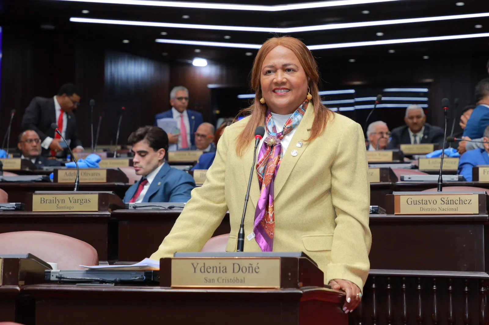 Diputados del PLD proponen interpelar al director del Servicio Nacional de Salud por muertes de niños en Maternidad La Altagracia