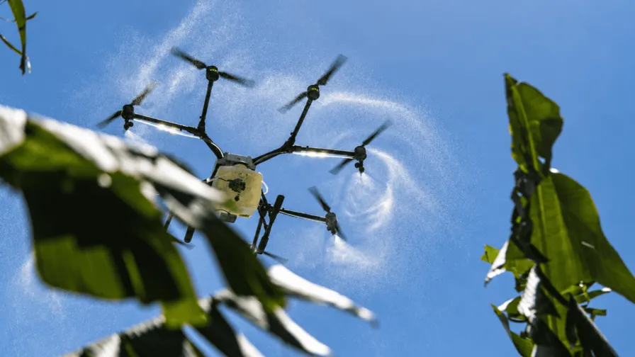 Tecnología, capacitación y relevo generacional: principales necesidades del sector agropecuario