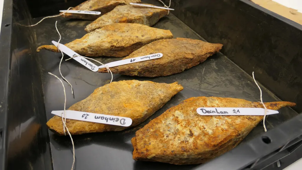 “Un pequeño milagro”: un tesoro hallado en el Danubio contiene metales de 2.000 años para armar a todo un ejército