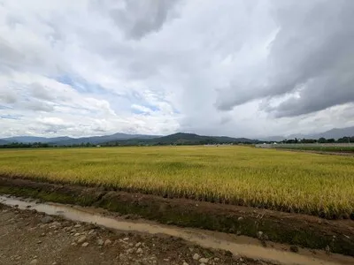 Ministro de Agricultura: "en nuestra gestión no ha sido necesario importar un solo quintal de arroz"