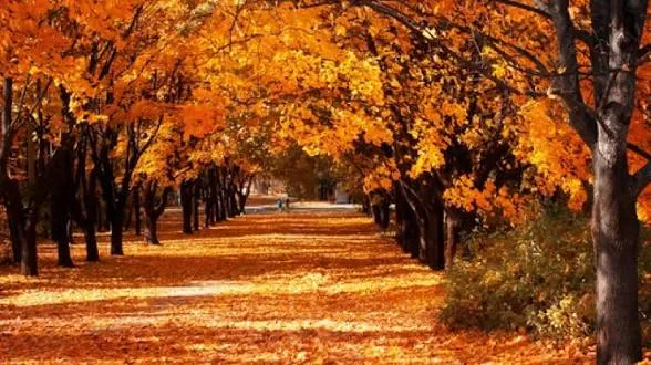 Otoño astronómico inicia este martes con lluvias por incidencia de vaguada y temperaturas calurosas
