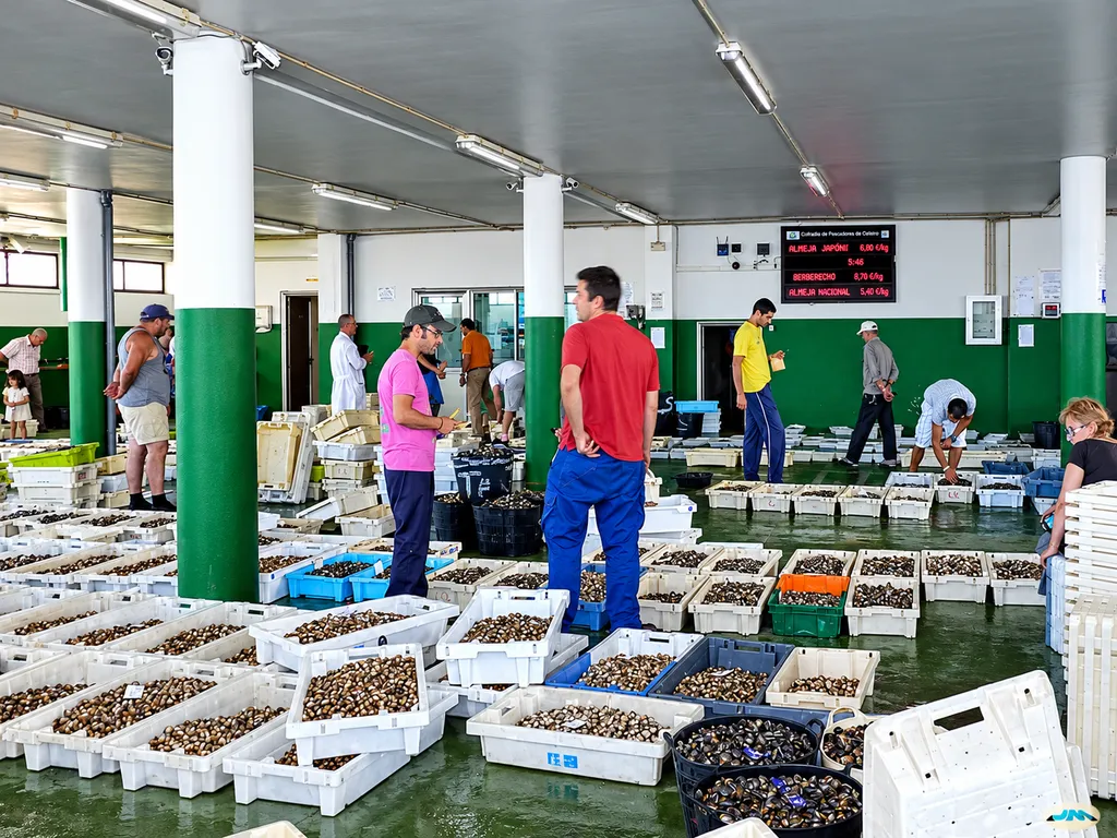 Galicia ha sido desde siempre el paraíso del marisco en España: ahora afronta una crisis existencial sin precedentes