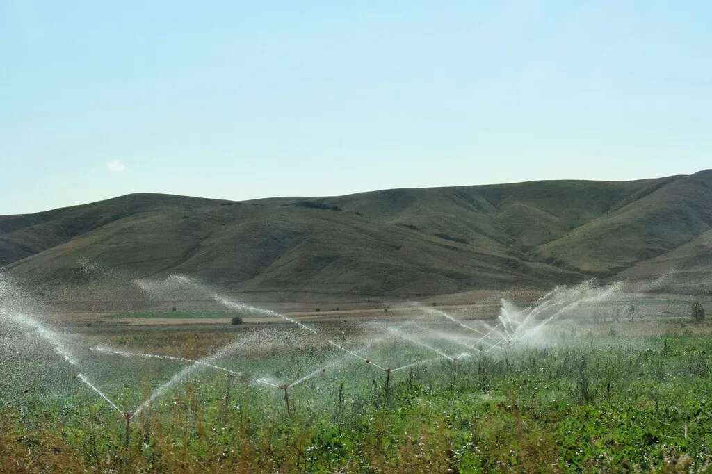 "Aquí se roba agua": la extracción ilegal de agua pone en riesgo seis acuíferos de gran riqueza ambiental en España