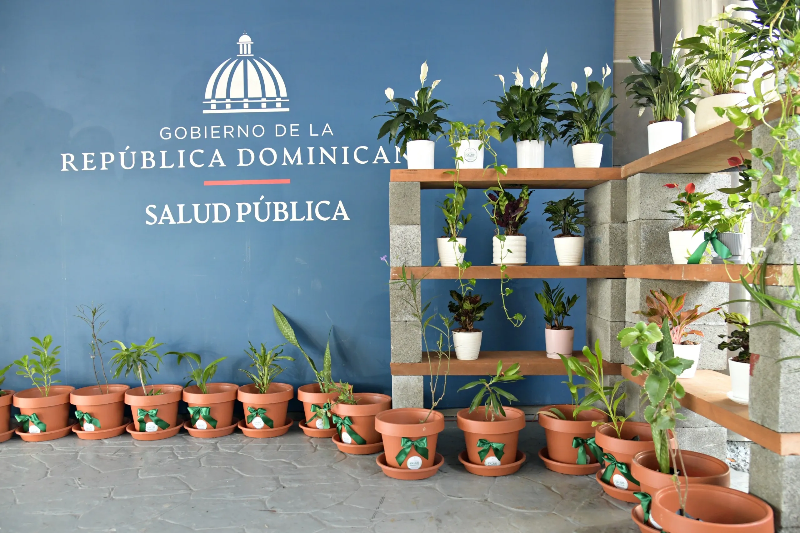 Ministerio de Salud conmemora el Día Mundial de la Salud Ambiental con llamado a fortalecer la protección de los recursos naturales