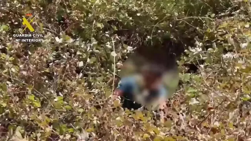 La Guardia Civil persigue más de 100 km a los autores de un 'simpa' en Cáceres y acaba sacando a uno de un zarzal